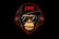 Drunken Munkey Apparel - Home